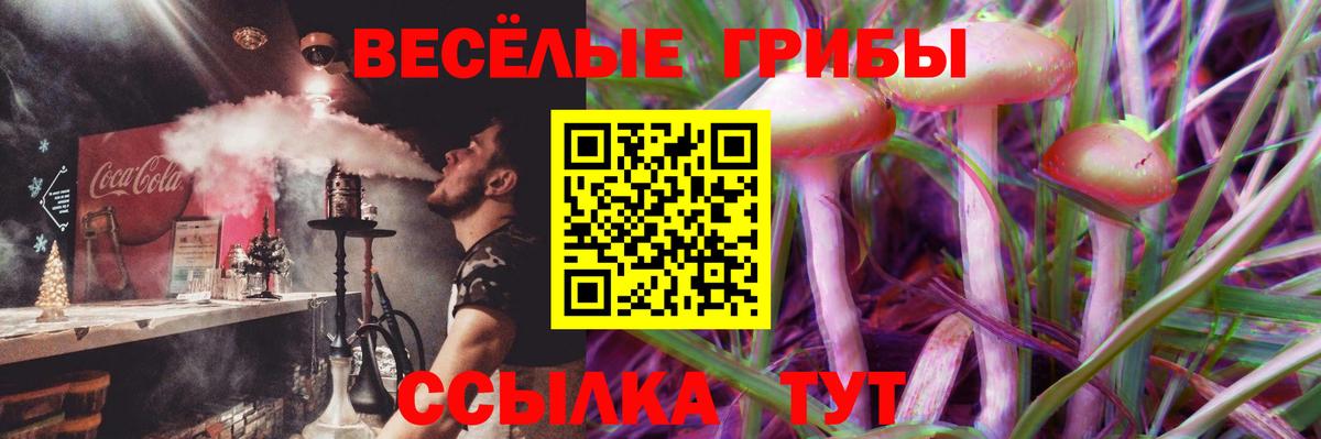 Псилоцибиновые грибы мухоморы Канск