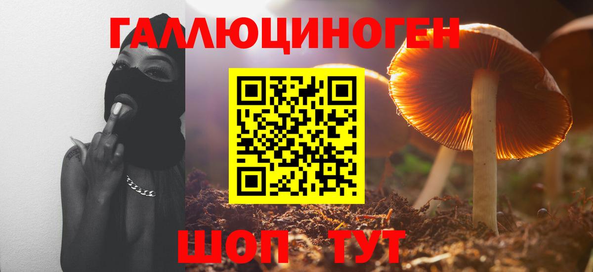 Канск  Галлюциногенные грибы GOLDEN TEACHER  Галлюциногенные грибы прущие грибы  Вход с VPN 